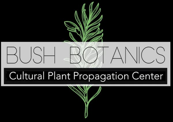 Nurturing Tradition: The Role of Community Seed Banks in Aboriginal Australia Cover