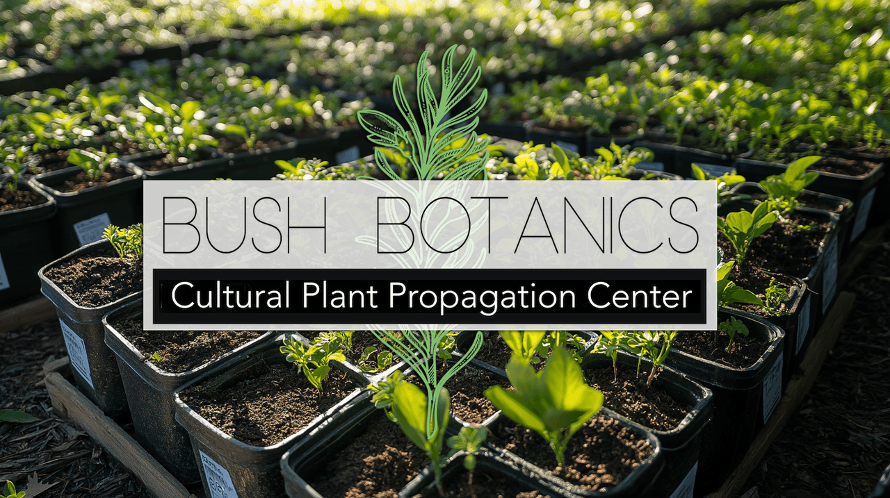 Building and Managing a Cultural Plant Propagation Centre Cover