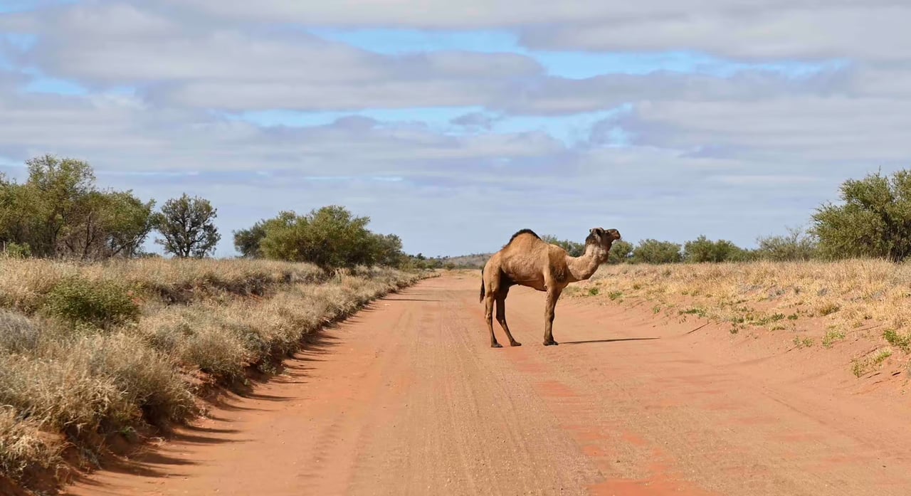 Building a Restoration Economy Cover